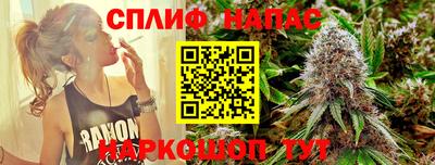 дмт Моздок