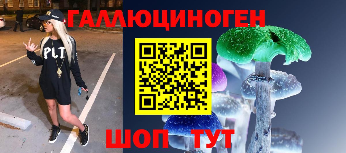 Галлюциногенные грибы мицелий Дагестанские Огни